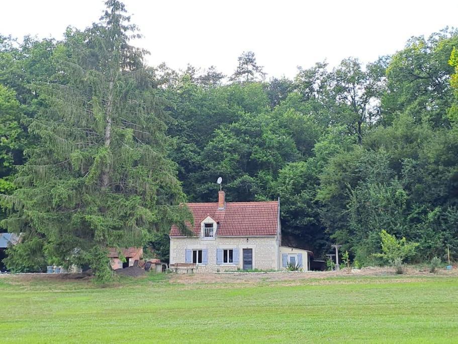 Superbe Lodge 4-8 Pers A 15 Mn Zoo Beauval Faverolles  Exterior photo